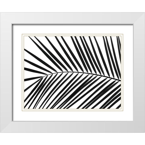 Palm tree leaf White Modern Wood Framed Art Print with Double Matting by Frank, Assaf