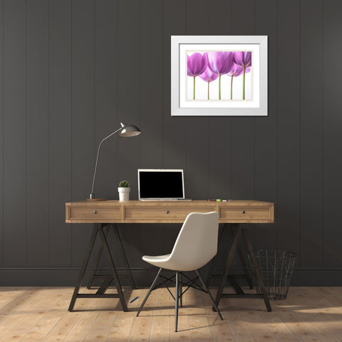 Purple Tulips White Modern Wood Framed Art Print with Double Matting by Frank, Assaf