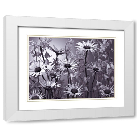 Meadow flowers White Modern Wood Framed Art Print with Double Matting by Frank, Assaf