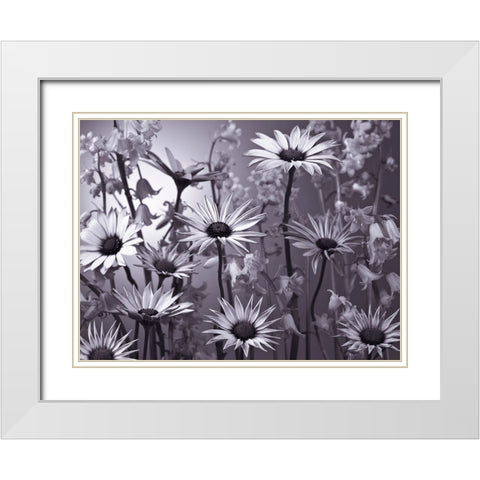 Meadow flowers White Modern Wood Framed Art Print with Double Matting by Frank, Assaf