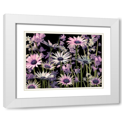 Meadow flowers White Modern Wood Framed Art Print with Double Matting by Frank, Assaf