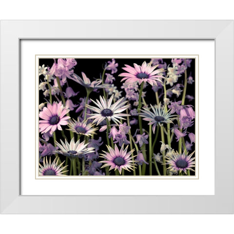 Meadow flowers White Modern Wood Framed Art Print with Double Matting by Frank, Assaf