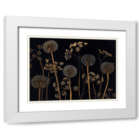 Meadow flowers White Modern Wood Framed Art Print with Double Matting by Frank, Assaf
