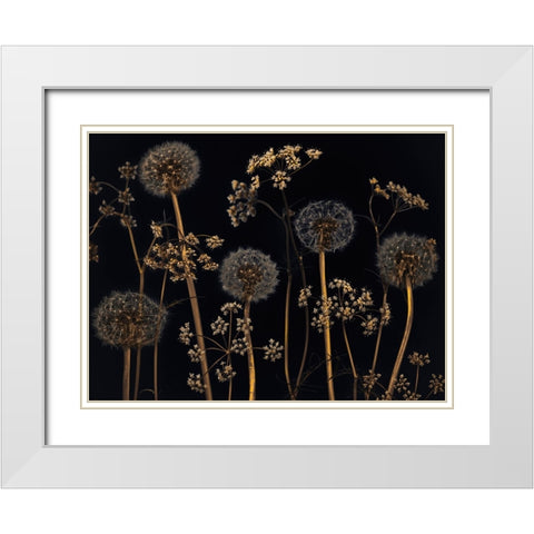 Meadow flowers White Modern Wood Framed Art Print with Double Matting by Frank, Assaf