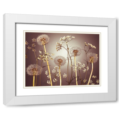 Meadow flowers White Modern Wood Framed Art Print with Double Matting by Frank, Assaf