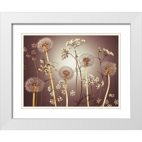 Meadow flowers White Modern Wood Framed Art Print with Double Matting by Frank, Assaf