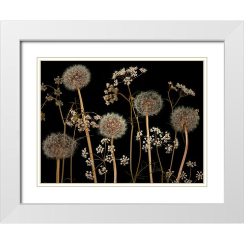 Meadow flowers White Modern Wood Framed Art Print with Double Matting by Frank, Assaf