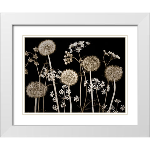 Meadow flowers White Modern Wood Framed Art Print with Double Matting by Frank, Assaf