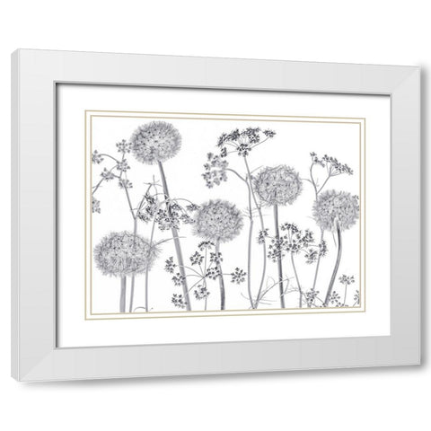 Meadow flowers White Modern Wood Framed Art Print with Double Matting by Frank, Assaf