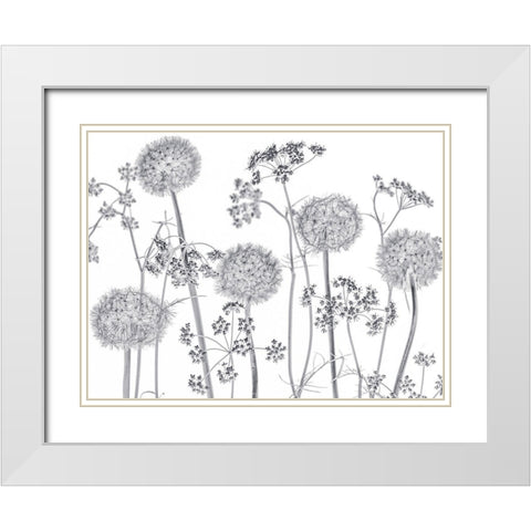 Meadow flowers White Modern Wood Framed Art Print with Double Matting by Frank, Assaf