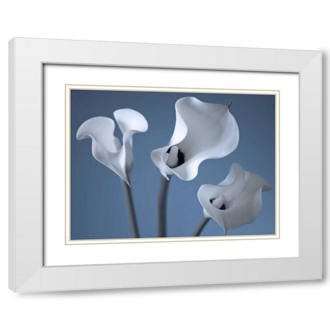 Three Calla Lilies White Modern Wood Framed Art Print with Double Matting by Frank, Assaf