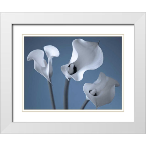 Three Calla Lilies White Modern Wood Framed Art Print with Double Matting by Frank, Assaf