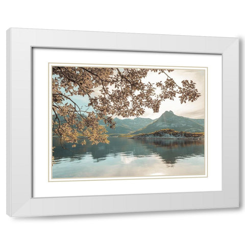 Norwegian fjord, Lofoten, Norway White Modern Wood Framed Art Print with Double Matting by Frank, Assaf