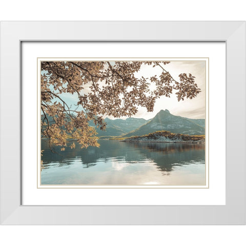 Norwegian fjord, Lofoten, Norway White Modern Wood Framed Art Print with Double Matting by Frank, Assaf