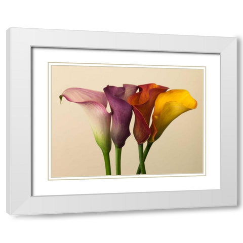 Four calla lilies White Modern Wood Framed Art Print with Double Matting by Frank, Assaf