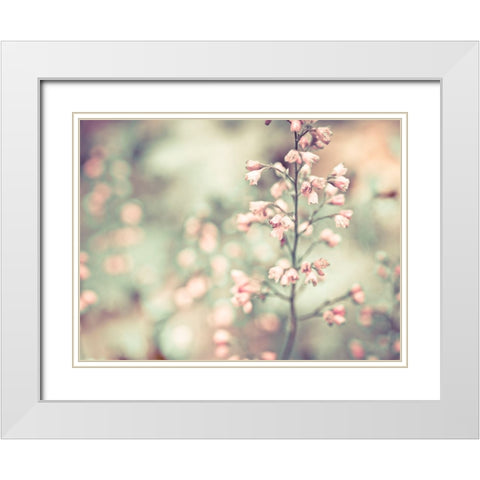 Flowering Heuchera White Modern Wood Framed Art Print with Double Matting by Frank, Assaf
