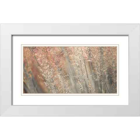 Fountain grass White Modern Wood Framed Art Print with Double Matting by Frank, Assaf