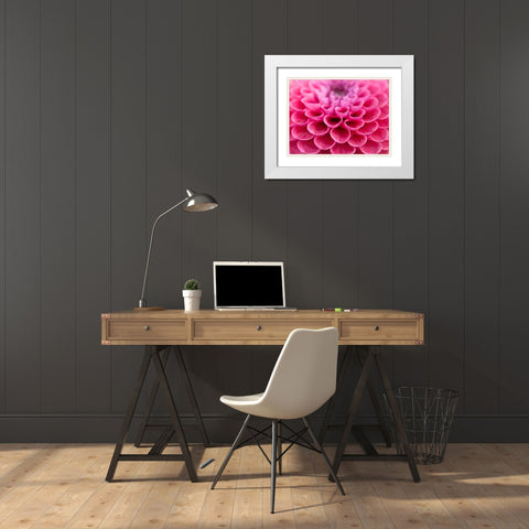 Dahlia Flower White Modern Wood Framed Art Print with Double Matting by Frank, Assaf