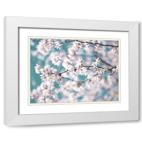 Blossom flowers White Modern Wood Framed Art Print with Double Matting by Frank, Assaf