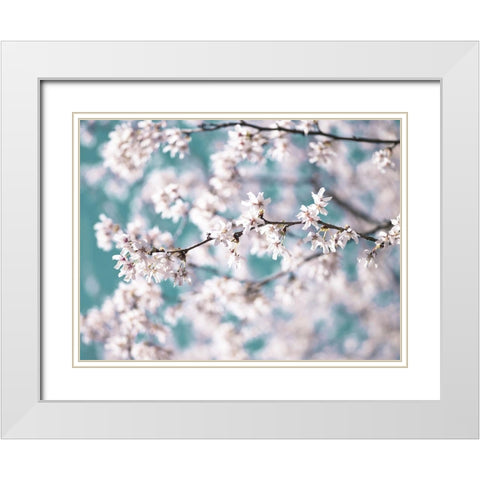 Blossom flowers White Modern Wood Framed Art Print with Double Matting by Frank, Assaf