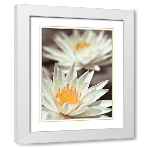 Water Lilies White Modern Wood Framed Art Print with Double Matting by Frank, Assaf