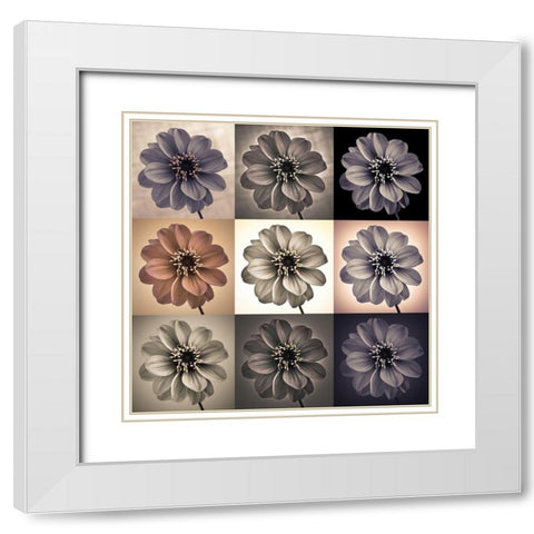 Collage of Dahlias flowers White Modern Wood Framed Art Print with Double Matting by Frank, Assaf