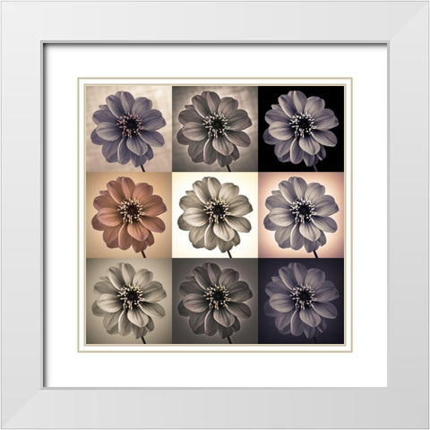 Collage of Dahlias flowers White Modern Wood Framed Art Print with Double Matting by Frank, Assaf