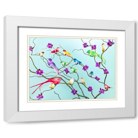 Fake birds on branches White Modern Wood Framed Art Print with Double Matting by Frank, Assaf