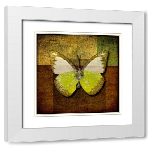 Handwritten old postcard with butterfly White Modern Wood Framed Art Print with Double Matting by Frank, Assaf