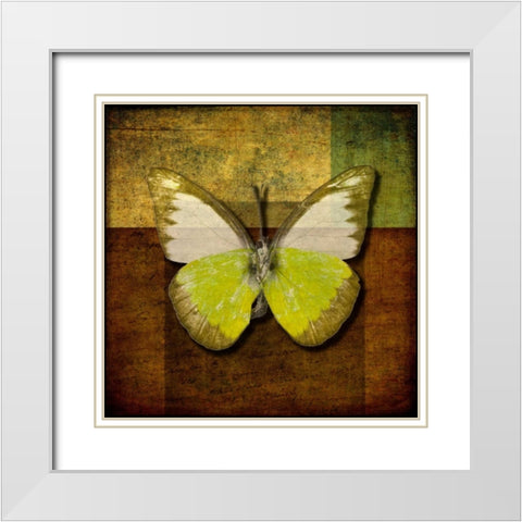 Handwritten old postcard with butterfly White Modern Wood Framed Art Print with Double Matting by Frank, Assaf