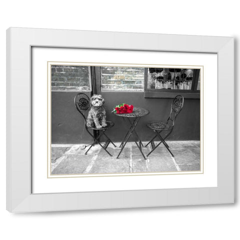 Dog Sitting on a chair with a banch of roses on a table White Modern Wood Framed Art Print with Double Matting by Frank, Assaf