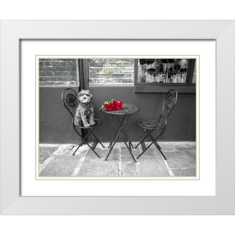 Dog Sitting on a chair with a banch of roses on a table White Modern Wood Framed Art Print with Double Matting by Frank, Assaf