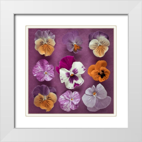 Nine Pansy flowers White Modern Wood Framed Art Print with Double Matting by Frank, Assaf