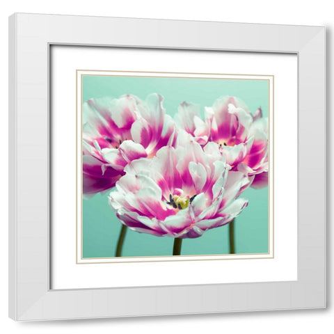 Three tulips White Modern Wood Framed Art Print with Double Matting by Frank, Assaf