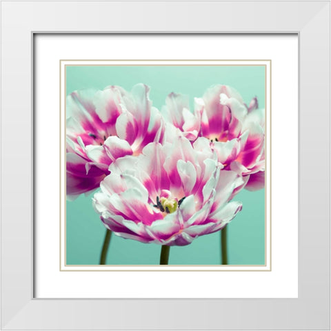 Three tulips White Modern Wood Framed Art Print with Double Matting by Frank, Assaf