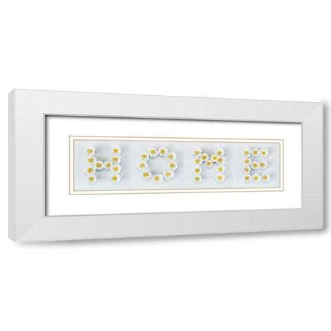 The word Home written in white Roses, FTBR-1915 White Modern Wood Framed Art Print with Double Matting by Frank, Assaf