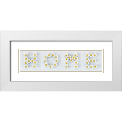 The word Home written in white Roses, FTBR-1915 White Modern Wood Framed Art Print with Double Matting by Frank, Assaf