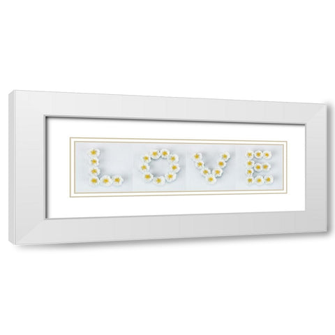 Word Love written in white Roses, FTBR-1916 White Modern Wood Framed Art Print with Double Matting by Frank, Assaf
