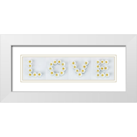Word Love written in white Roses, FTBR-1916 White Modern Wood Framed Art Print with Double Matting by Frank, Assaf