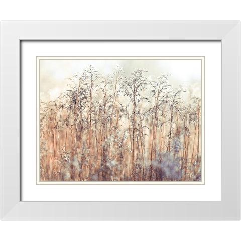 Grass Reeds White Modern Wood Framed Art Print with Double Matting by Frank, Assaf