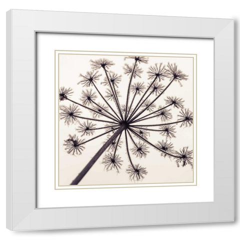 Frosty autumn leaves White Modern Wood Framed Art Print with Double Matting by Frank, Assaf