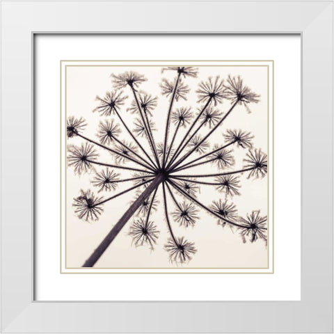Frosty autumn leaves White Modern Wood Framed Art Print with Double Matting by Frank, Assaf