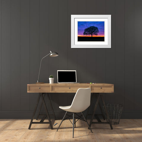 Silhouette of a tree against coloured skies White Modern Wood Framed Art Print with Double Matting by Frank, Assaf