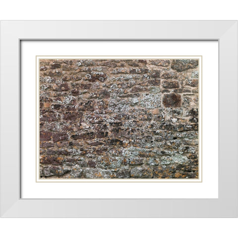Old wall White Modern Wood Framed Art Print with Double Matting by Frank, Assaf