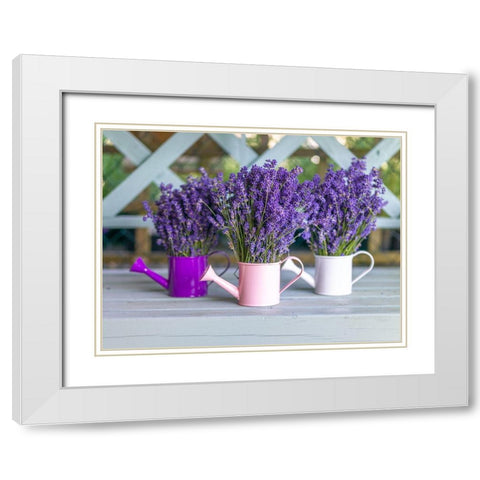 Watering cans with Lavender flowers White Modern Wood Framed Art Print with Double Matting by Frank, Assaf