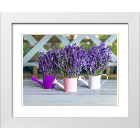 Watering cans with Lavender flowers White Modern Wood Framed Art Print with Double Matting by Frank, Assaf
