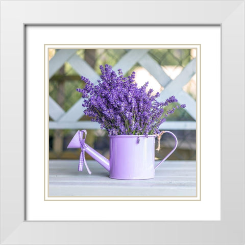 Watering can with Lavender flowers White Modern Wood Framed Art Print with Double Matting by Frank, Assaf