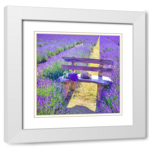 Bench in Lavender field White Modern Wood Framed Art Print with Double Matting by Frank, Assaf
