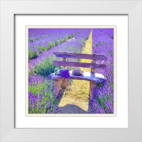 Bench in Lavender field White Modern Wood Framed Art Print with Double Matting by Frank, Assaf