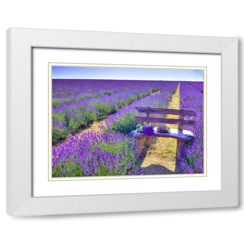 Bench in Lavender field White Modern Wood Framed Art Print with Double Matting by Frank, Assaf